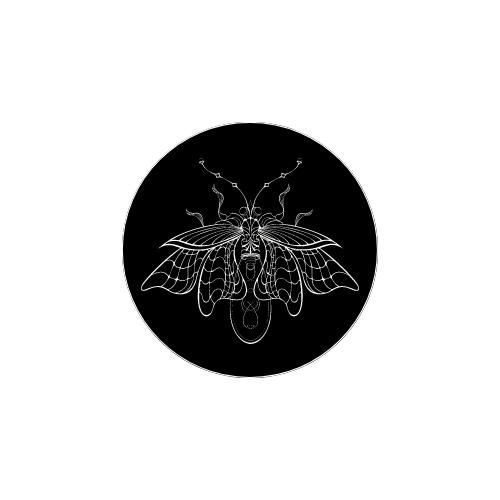 The Music School at Firefly Farm Logo