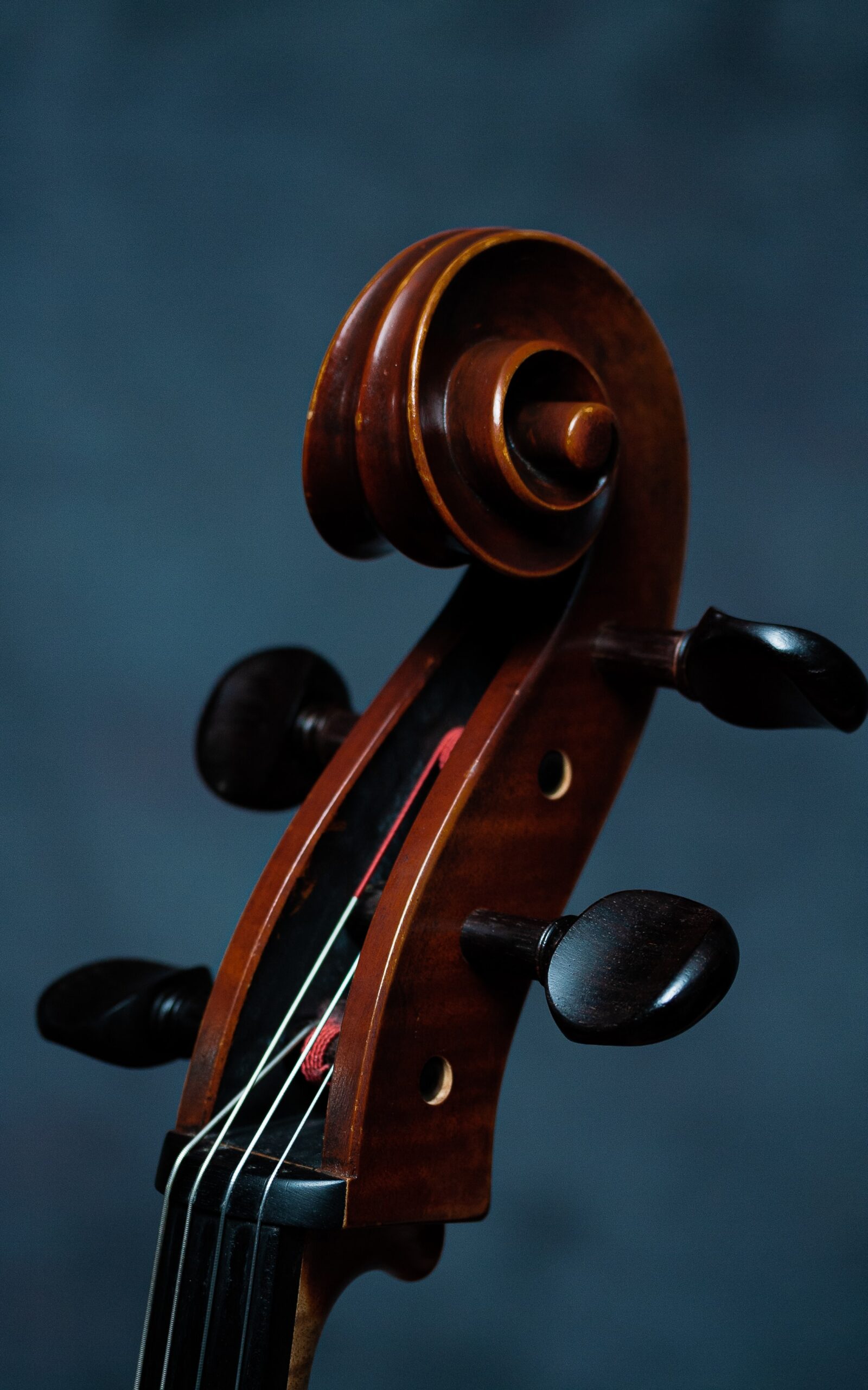Violin and Viola Lessons Music Lessons, Albany, Rensselaer, and Berkshire Counties, NY